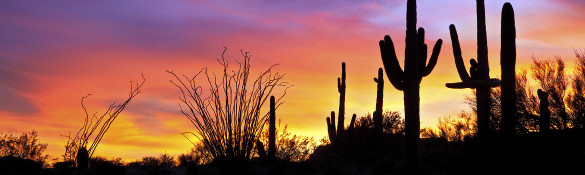 arizona-header-cropped.jpg